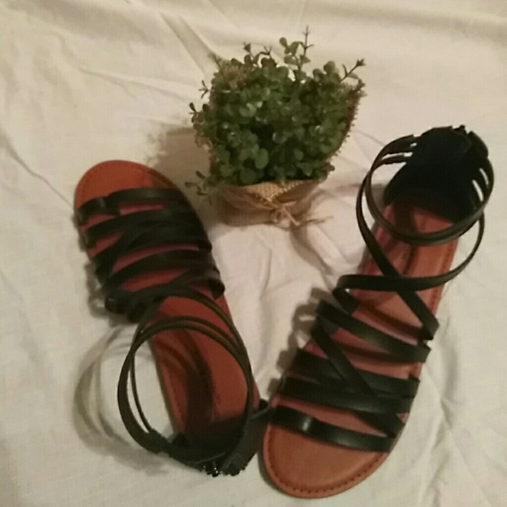 American eagle shoes only warn once.